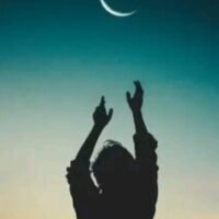 Profile picture of Rejeb KSS