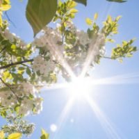 Profile picture of Sabrine