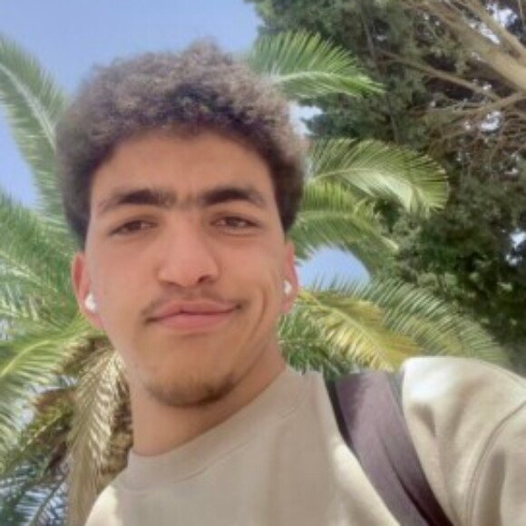 Profile picture of Med Amine Hamzaoui