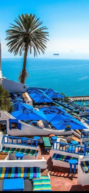 screenshot_20230227-131145_instagram